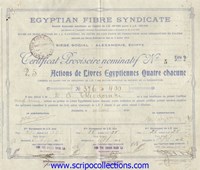 Egyptian Fibre Syndicate SA