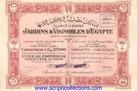 Jardins & Vignobles d'Egypte SAE