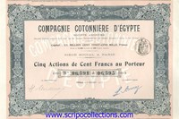 Co Cotonnière d'Egypt SA