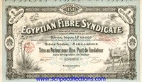 Egyptian Fibre Syndicate SA