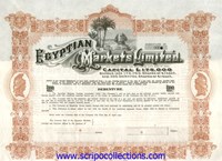 5% Egyptian Markets Ltd.