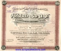 Koldair SAE Refrigeration Air Conditioning Co of Egypt