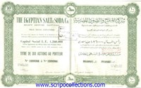 Egyptian Salt & Soda Co Ltd/ The