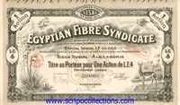 Egyptian Fibre Syndicate SA