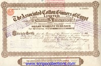 Associated Cotton Ginners of Egypt Ltd./ The