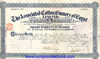 Associated Cotton Ginners of Egypt Ltd./ The