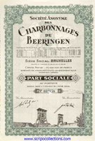 S.A. des Charbonnages de Beeringen